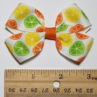 3" Citrus Fruit 