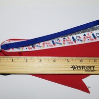 4th July Firecracker 