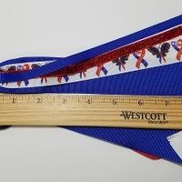 CHD Red Blue Awareness 