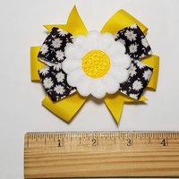 3.5" Daisy 
