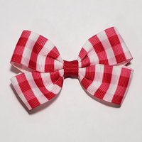 3" Red Gingham