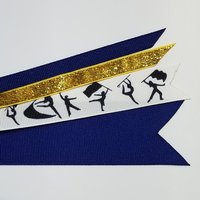 Color Guard Guardies