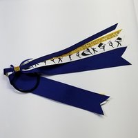 Color Guard Guardies