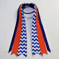 Royal Blue Orange Team Sports School 