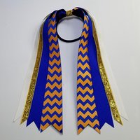 Blue Gold Team Sports School Colors