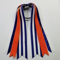Royal Blue Orange Team Sports School 
