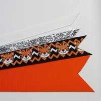 Tigers Orange Black Team Sports School Colors 