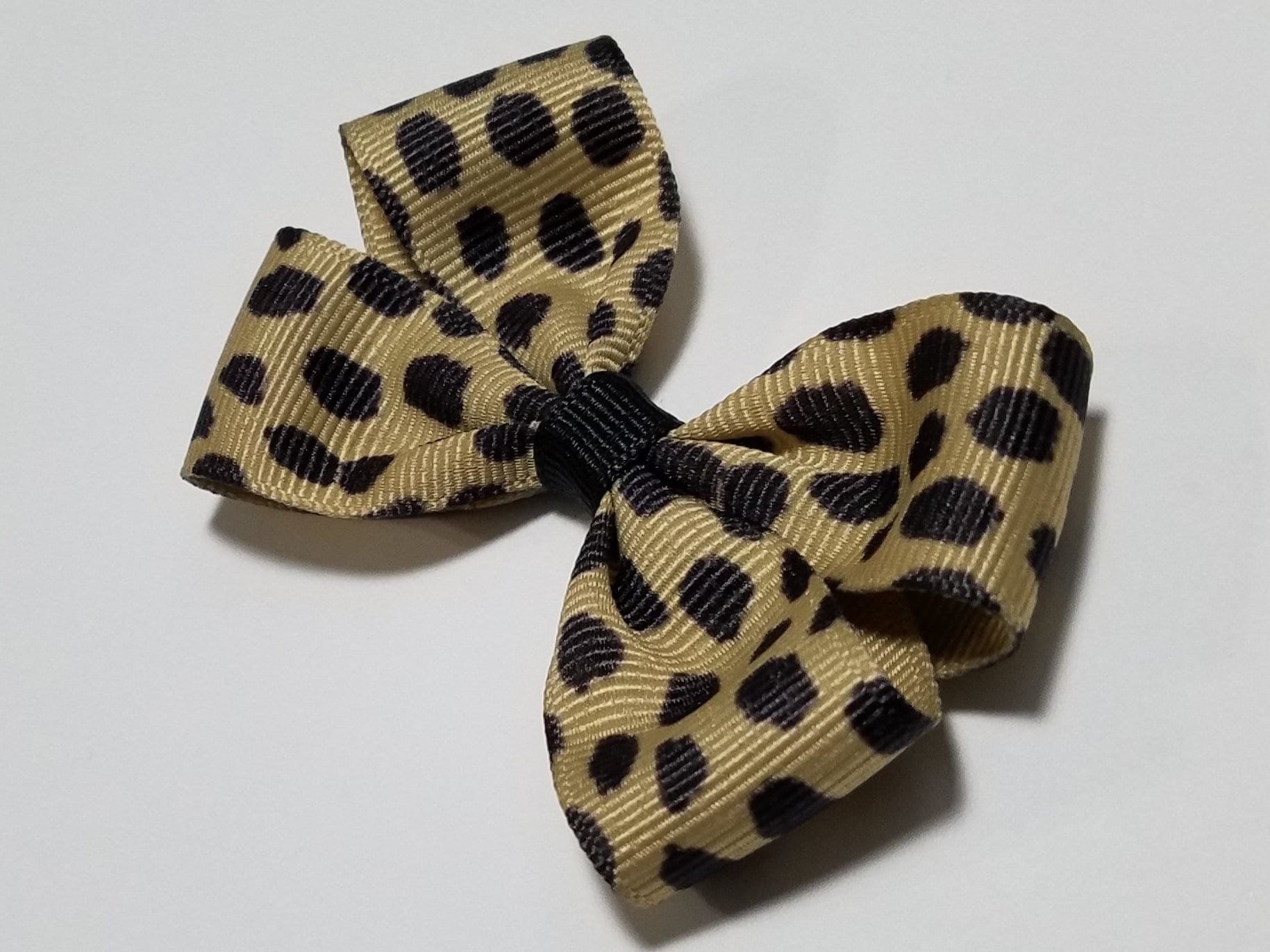 3" Cheetah 