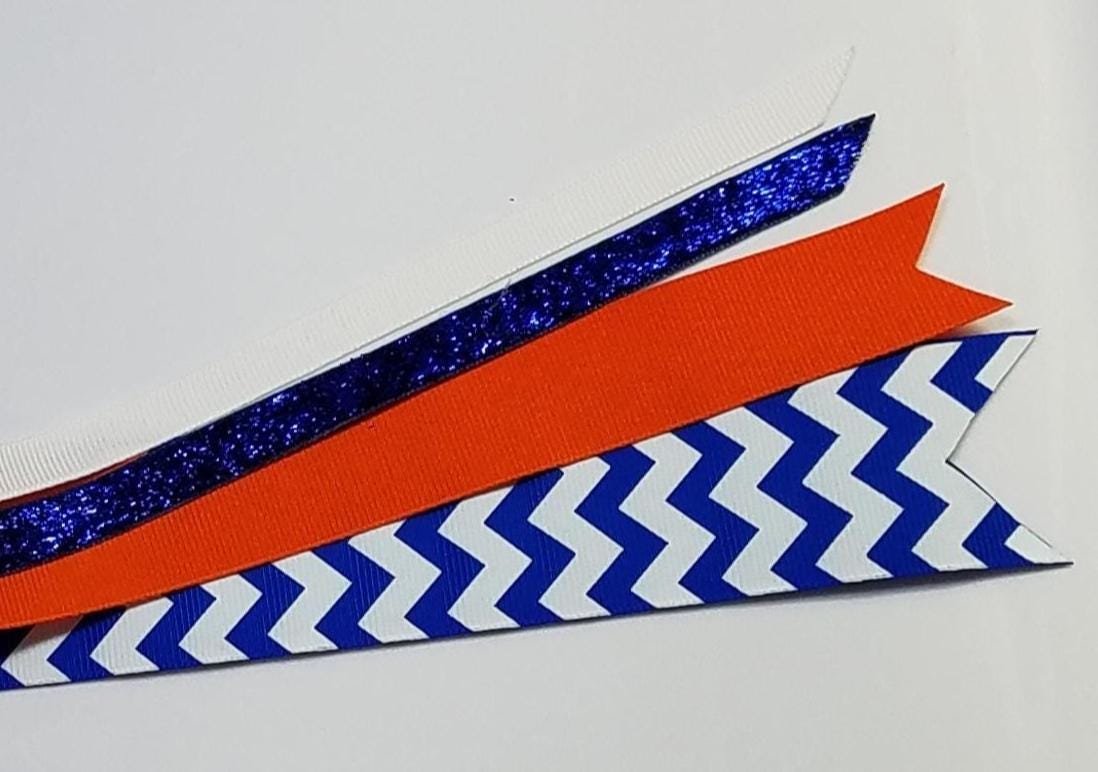 Royal Blue Orange Team Sports School 