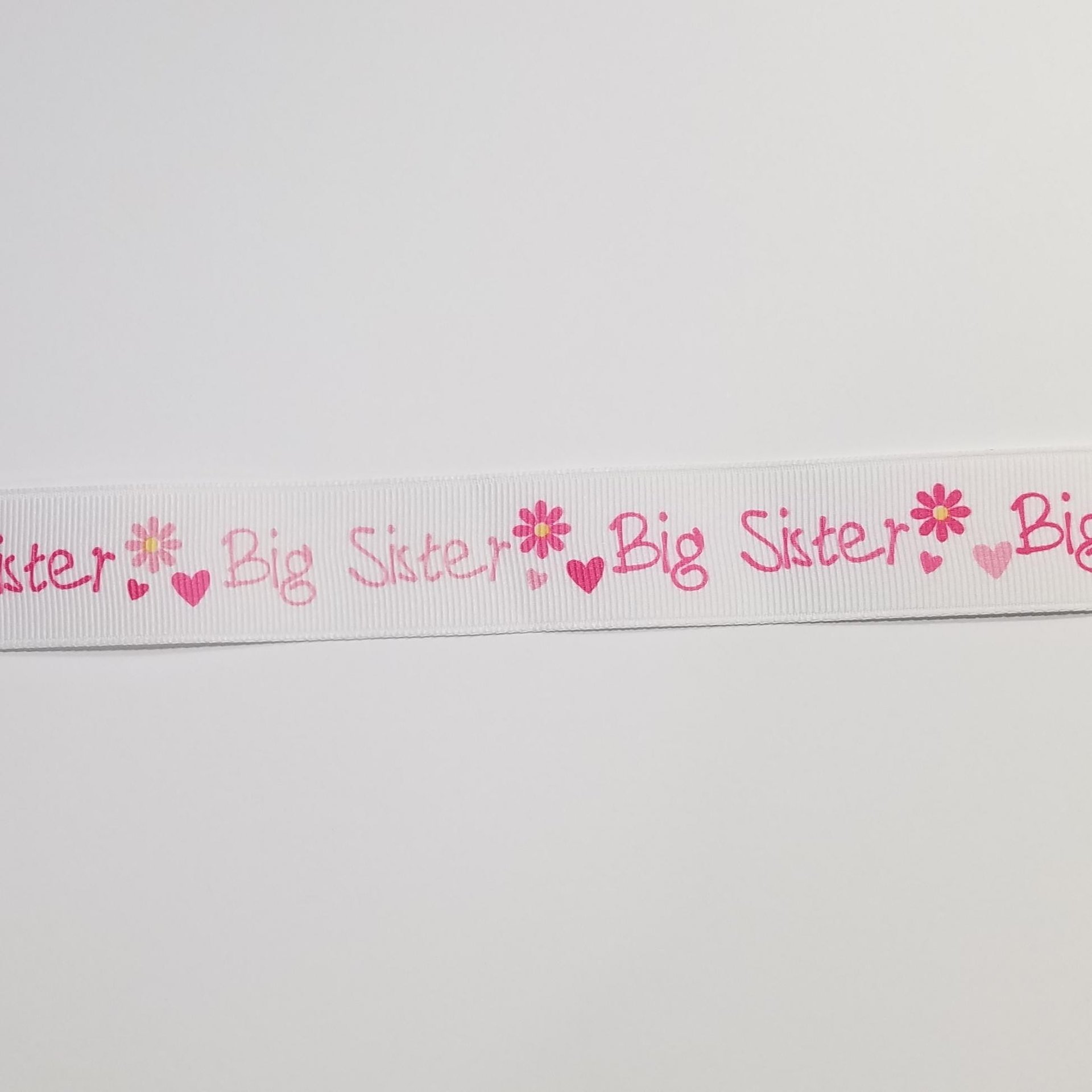 Big Sister TODDLER Streamer 
