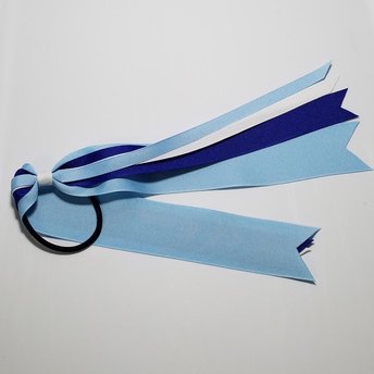 Sport Team/School Spirit Colors