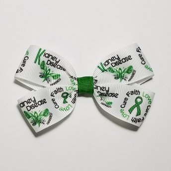 3" Kidney Disease 